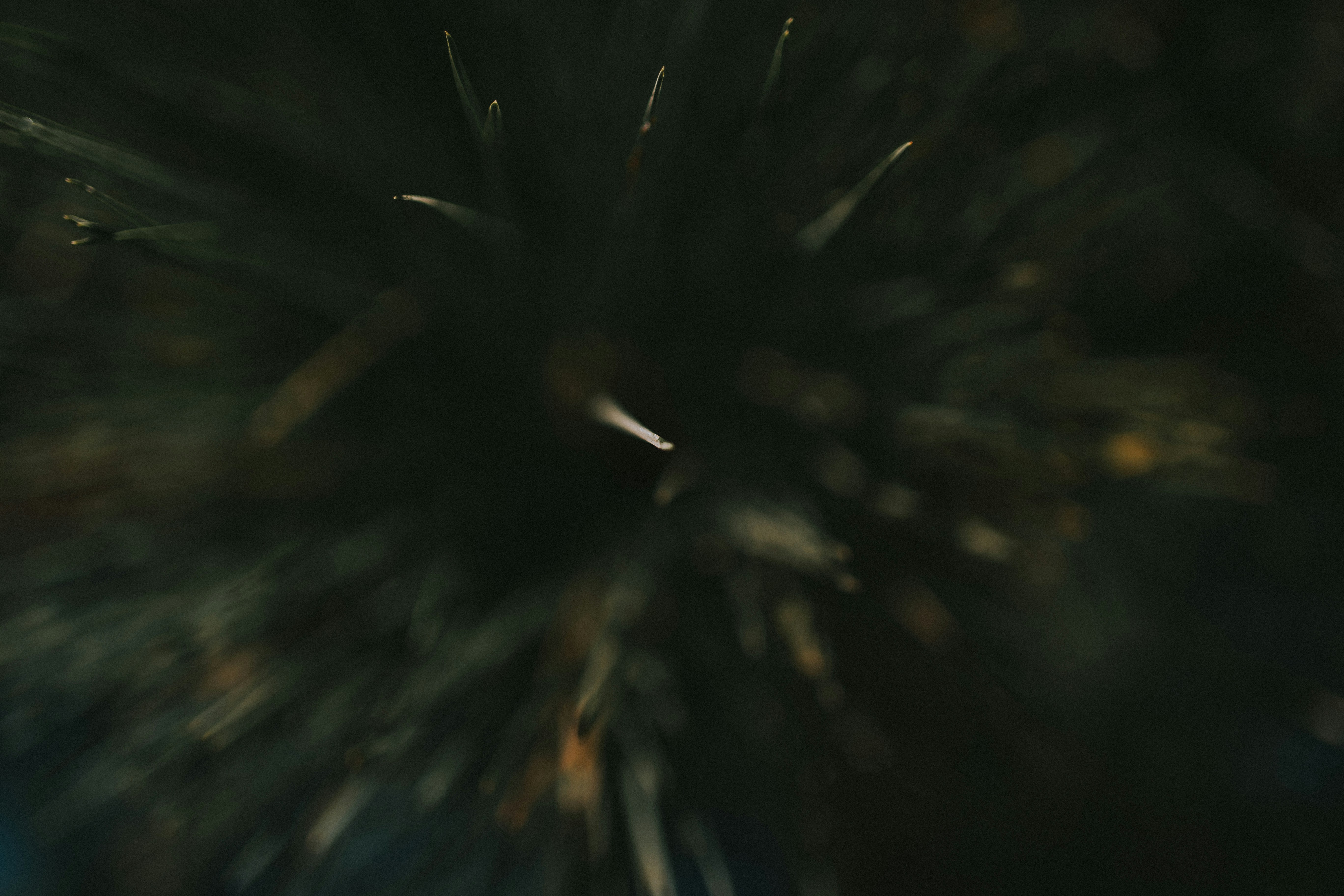 UIデザインに特化した有料デザインツールを起動し、具体的なUI要素が配置された画面