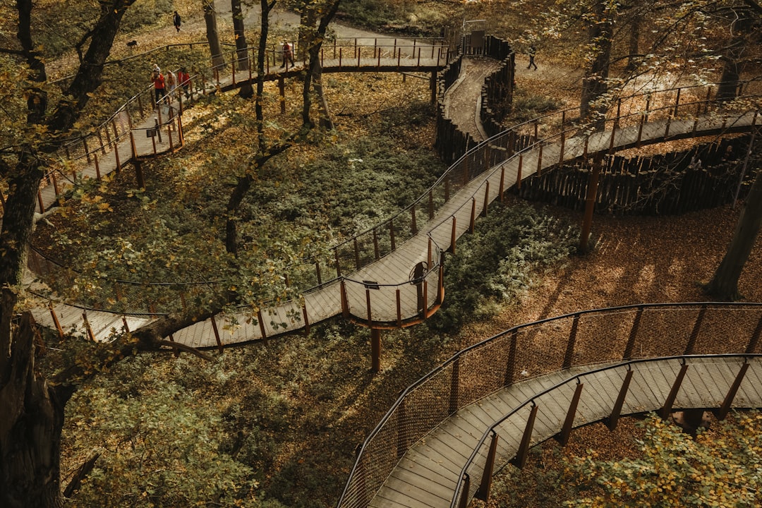 様々な流体シミュレーションアセットが紹介されているアセットストアの画面全体