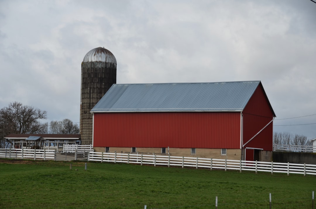 コントローラーを握りしめ、ゲーム画面に集中している手のクローズアップ写真