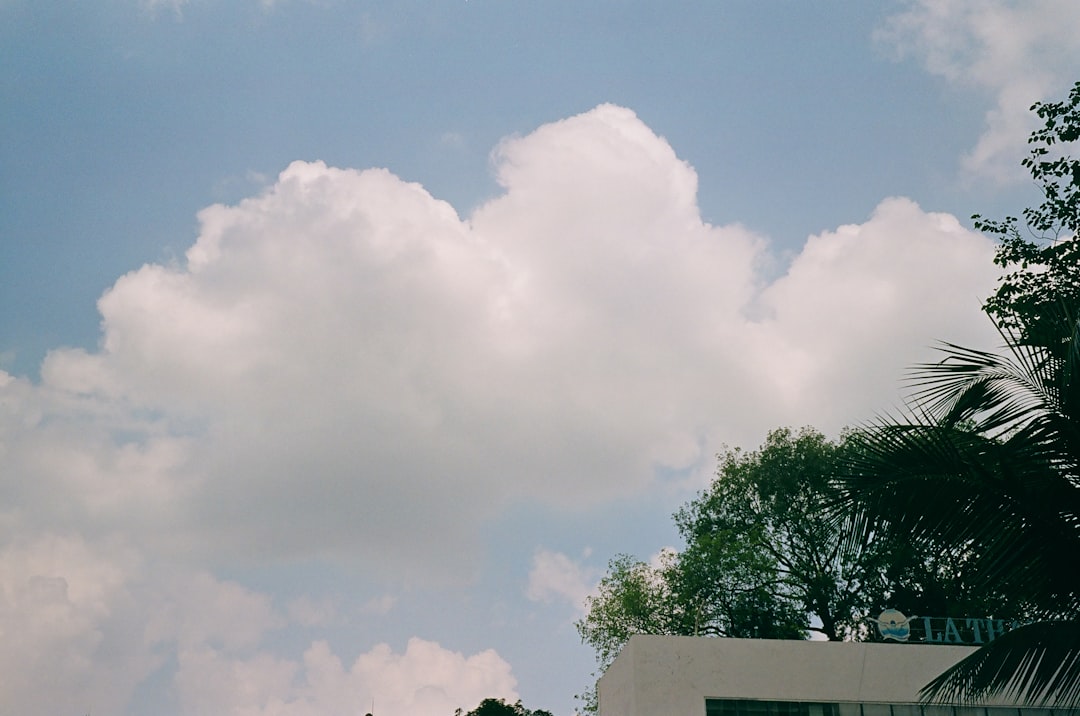 様々な材質の物体が接している様子をクローズアップした写真