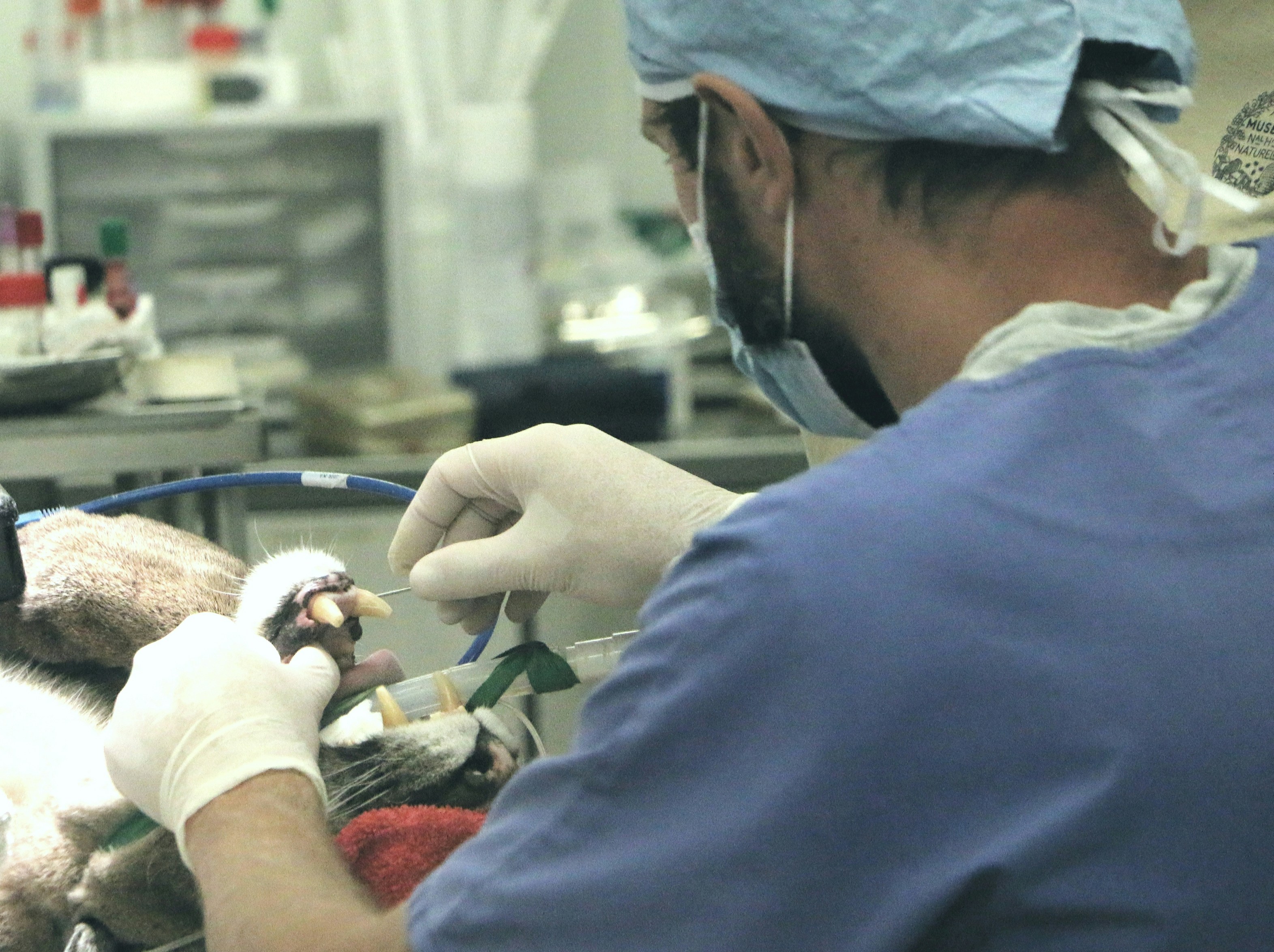 書籍「【送料無料】工科系の物理学基礎 質点・剛体・連続体の力学／佐々木一夫」の表紙