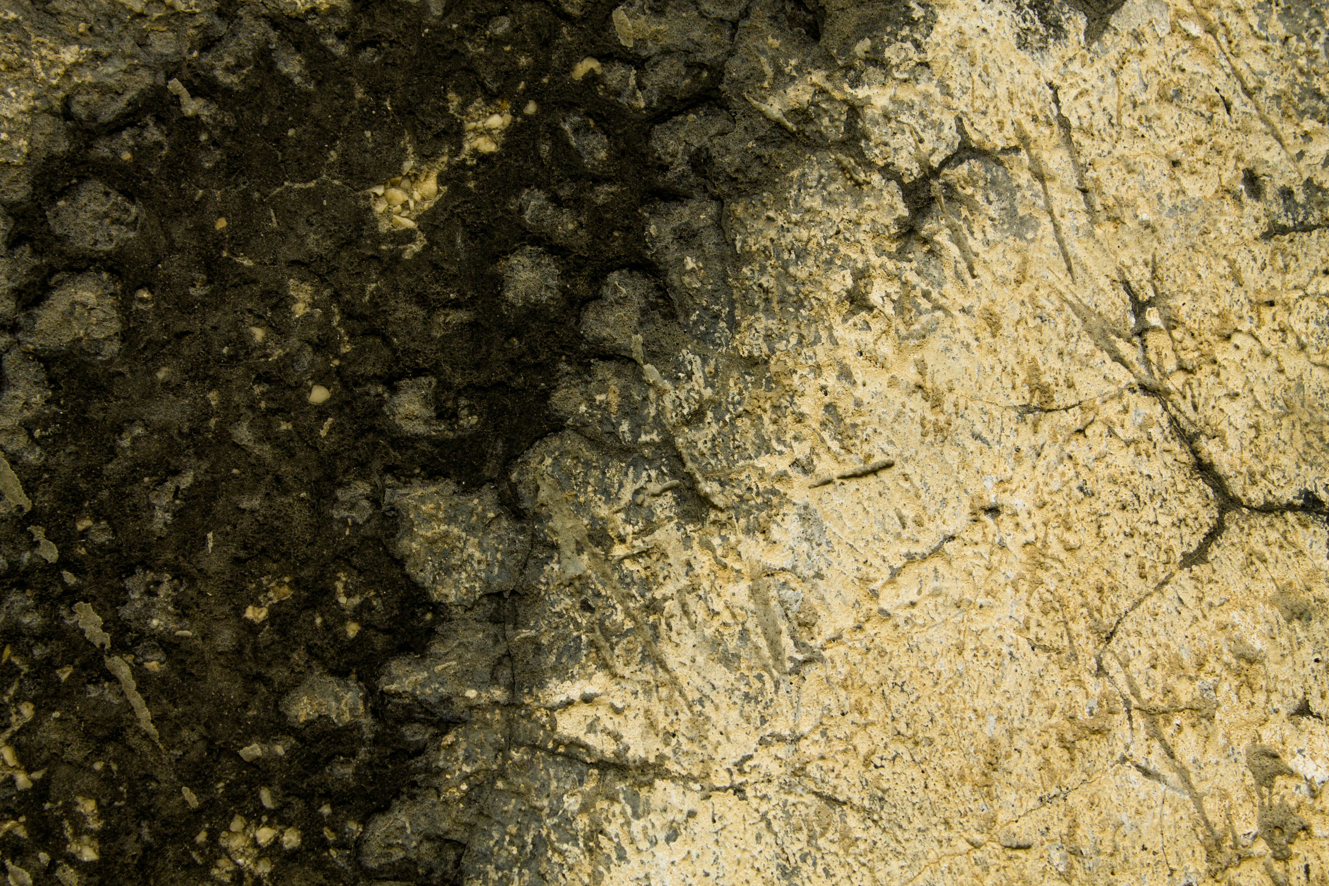 様々なペイントソフトのアイコンが並んでいる画像